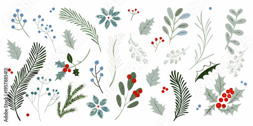 Festive botanical illustration featuring various winter foliage and berry branches