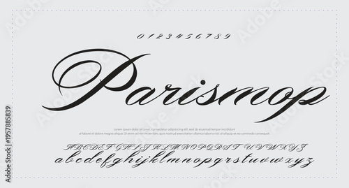 
Handwrite signature font Calligraphy Logotype Script Brush Font Type Font lettering handwritten. 