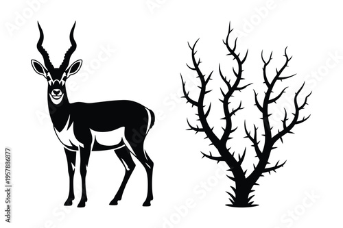 Blackbuck antelope and thorny bush silhouette vector