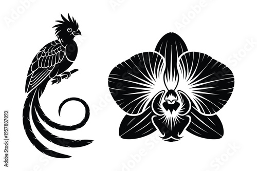 Exotic bird and orchid flower silhouette vector art