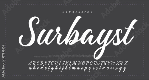 
signature Font Calligraphy Logotype Script Brush Font Type Font lettering handwritten. vector illustration 