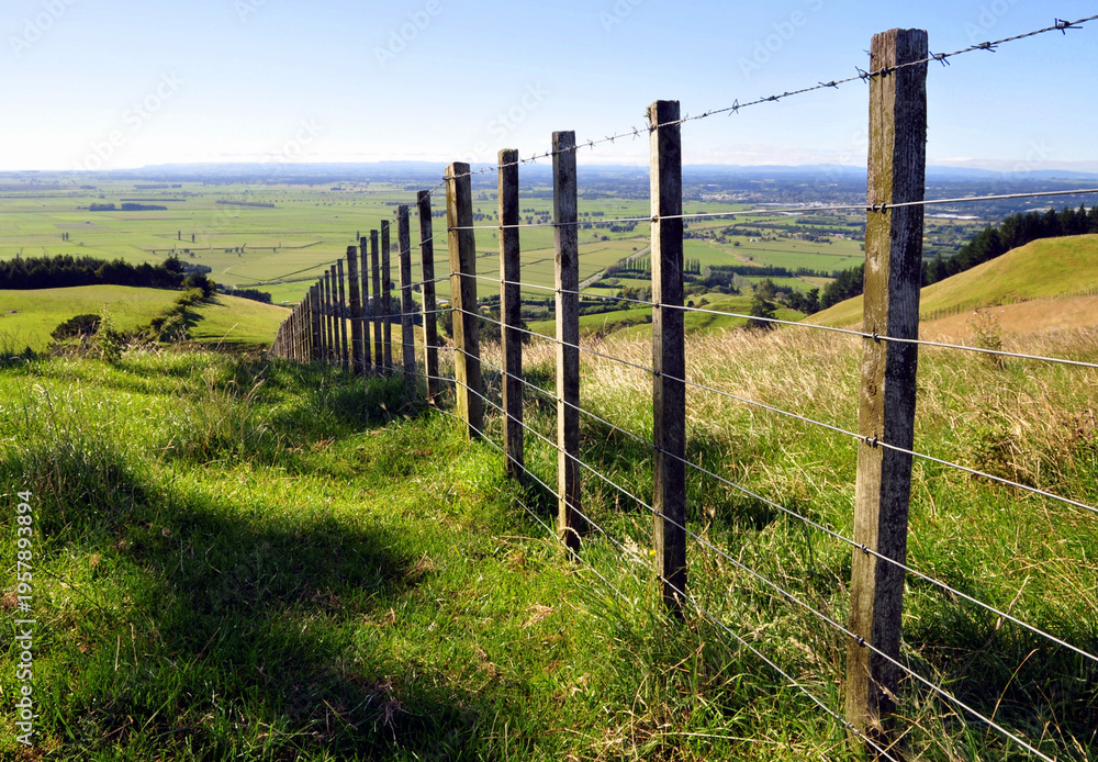 Fototapeta premium wooden fence in the field
