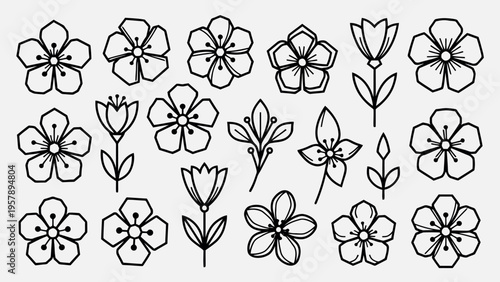 Set of 16 flower icons vector, black and white