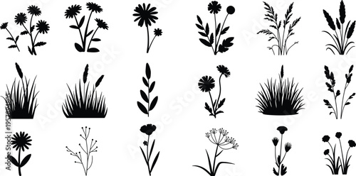 Black and white line botanical of various flowers and plants line botanical flowers daisy rose