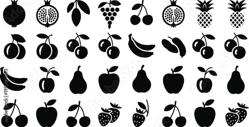 Black and white line collection of various birds and floral line birds feathers beaks