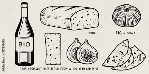 Hand drawn illustration of bread figs wine and a croissant