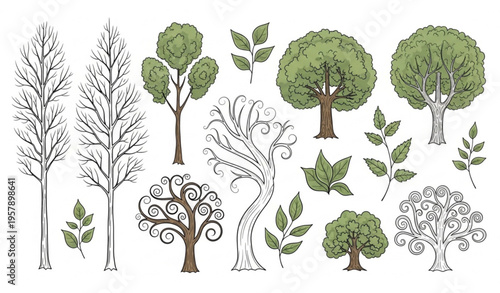 Rustic hand drawn tree and leaf botanical collage vector set with seasonal forest variation and natural greenery elements isolated on white background