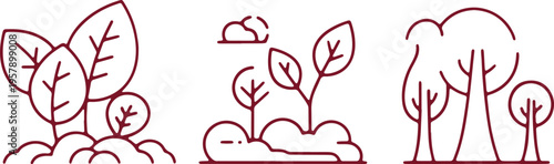 Illustrations depicting the stages of plant growth from seedling to mature trees