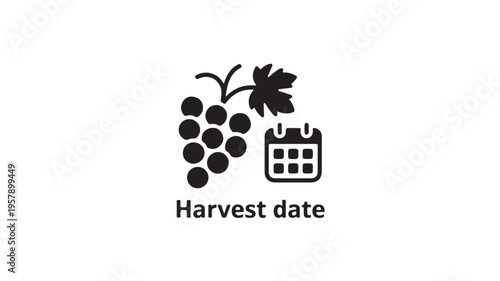 Minimalist Black and White Icon of Grapes with Calendar for Harvest Date Concepts