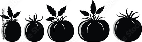 Tomato silhouettes collection variety ripe vegetables with leaves healthy food ingredient illustration organic nature garden