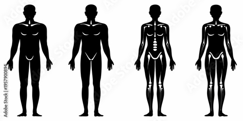 Four silhouetted figures depicting varying stages of human form development