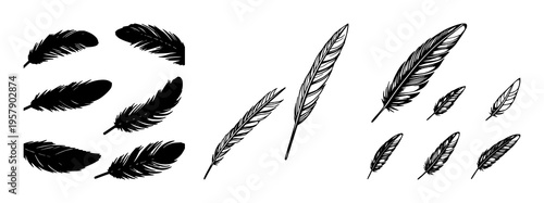 Feather icons set with black feather illustrations featuring vector, line art, minimal clean design with icons and symbols