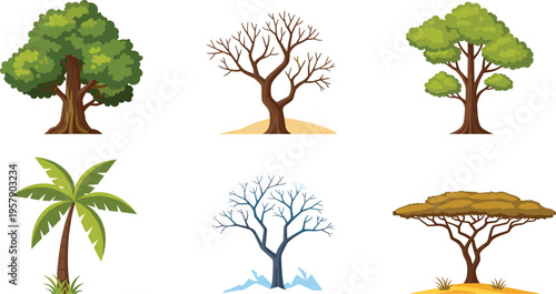 Different tree types set with tropical winter dry and green forest plants cartoon vector illustration collection