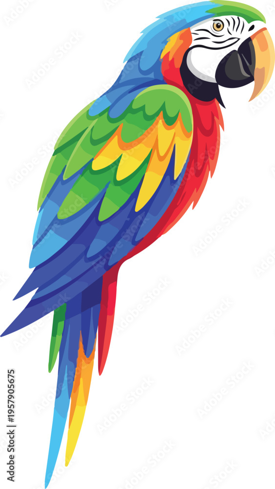 Obraz premium Colorful macaw parrot vector set with standing and flying poses tropical exotic bird illustrations