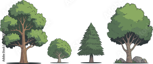 Four different types of trees with varying leaf colors and shapes in a park setting nature leaves