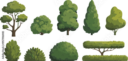 Green leafy vegetable plants growing in garden soil with water droplets and natural lighting green leaves