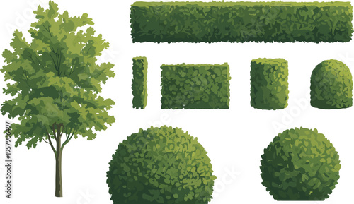 Green leafy vegetables broccoli and cabbage in various forms and sizes green vegetables fresh produce