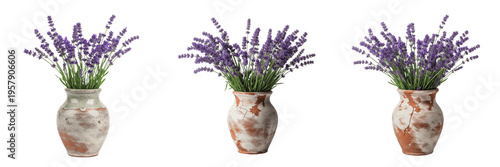 Obraz na plátne Purple Lavender Lavandula Flower Bouquet Collection in Vintage Terracotta and Ce