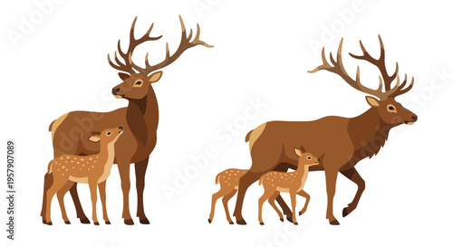 A family of deer a buck doe and two spotted fawns together