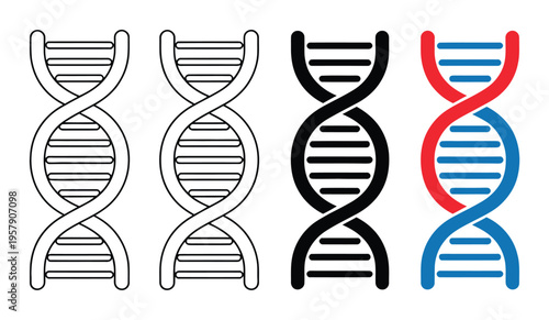 DNA Double Helix Structure Vector Illustration