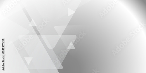 Abstract elegant triangle. White silver grey geometric universal background. modern design background with geometric shape. abstract graphic design banner pattern background template. Vector .Abstract