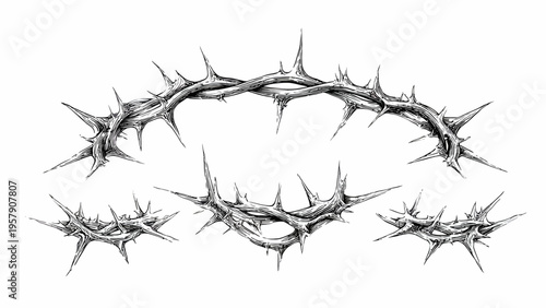 A minimalist illustration of a crown of thorns in simple line art, with a thorny crown outline and Jesus crown thorns outline, against a clean white background.