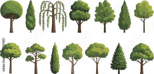 Vibrant green leafy vegetables set on white background broccoli cabbage kale spinach