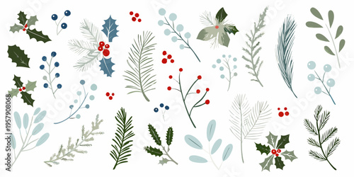 A collection of winter botanical illustrations with berries and foliage