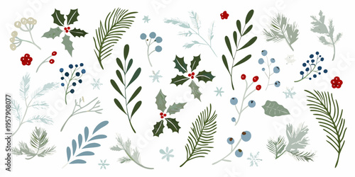Festive botanical illustrations of winter foliage and colorful berries
