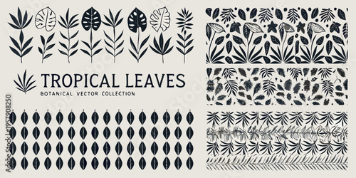 Collection of hand drawn tropical leaves and botanical vector illustrations