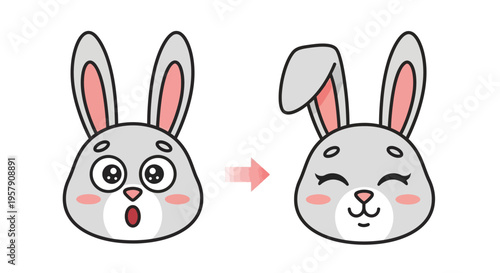Cute Bunny Face Transformation: Surprise to Happiness
