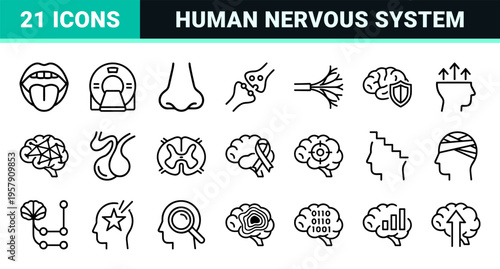 Neurology and Brain Science Outline Icons featuring Minimalist Monoline Geometric Line Art for Medical and Neurosurgery UI Design.
