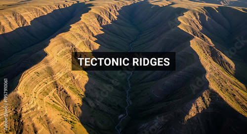 Aerial view of a vast canyon with rugged terrain and a river running through it surrounded by brown hills and mountains  natural landscape formation