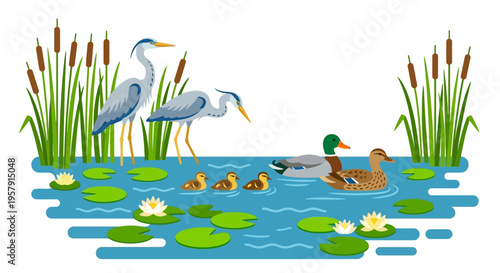 A serene wetland scene featuring herons ducks and ducklings