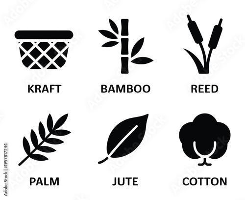 Of Natural Kraft, Bamboo, Reed, Palm, Jute, Cotton