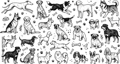 Collection Of Adorable Cartoon Dog Characters Featuring Various Breeds Such As Corgi Shiba Inu Pug And Dalmatian Isolated On White Background Vector