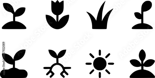 Black Representing Plant Growth Stages Seedling Tulip Grass Sun and Roots sprout
