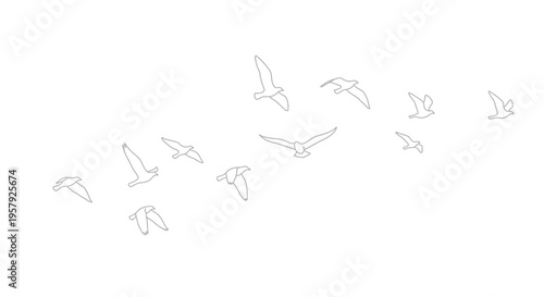 flock of seagulls flying in formation vector illustration