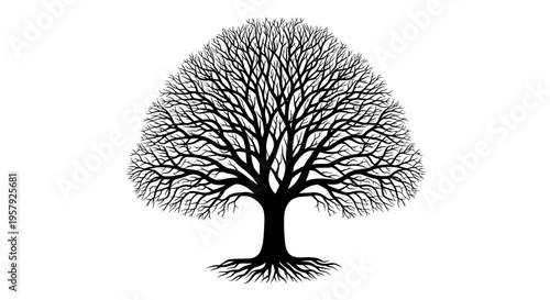 bare tree silhouette vector illustration on white background