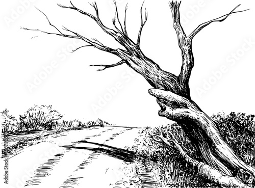 Black and white of a gnarled dead tree trunk lying across a dusty country road