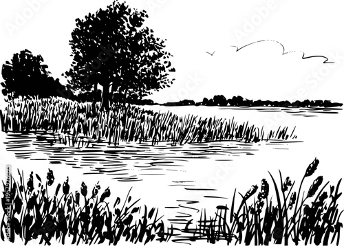 Black and white of a serene lake shore with reeds and a distant tree line nature