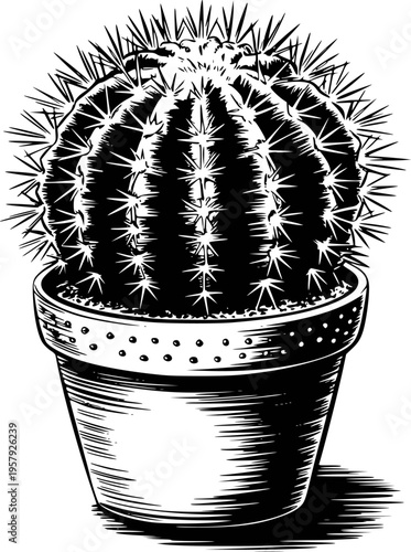 Black and white woodcut of a spiky spherical cactus in a patterned pot plant succulent