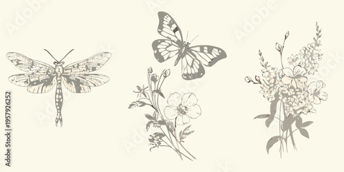 Sketch of two dragonflies and flowering plant with delicate details