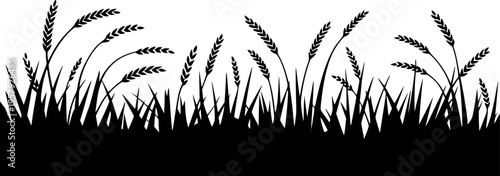 Fotografía Black silhouette of wheat stalks and grass swaying gently against a white backgr