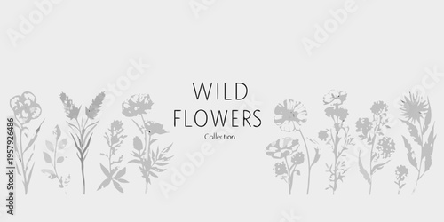 A botanical illustration showcasing a collection of delicate wild flowers