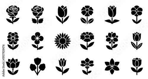 The flowers are very beautiful and there are many flowers there. 