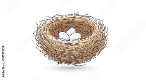 Bird Nest with Three White Eggs.