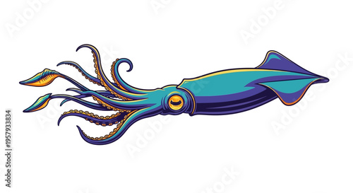 Colorful squid sea creature illustration.