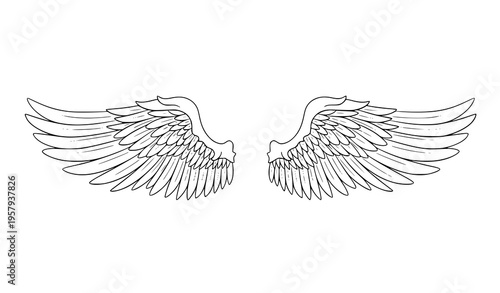 Angel wings spread symmetrical vector illustration feather design