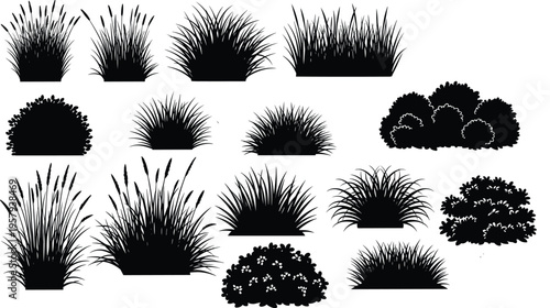 Comprehensive collection of black silhouettes featuring wild turkeys, forest tree borders, mythical dragons, rabbits, and garden grass bushes for versatile nature-themed vector illustration designs.